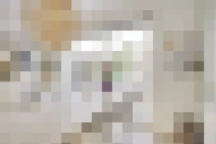 Druifstraat 6 Utrecht thumbnail 9