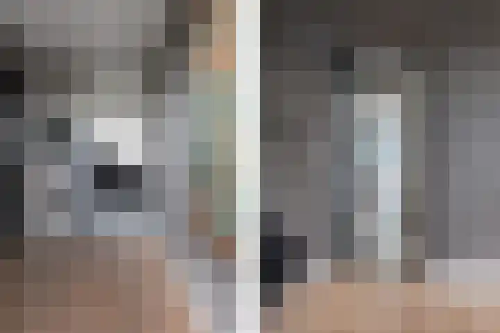 Druijfplaats 19 Abbekerk thumbnail 13