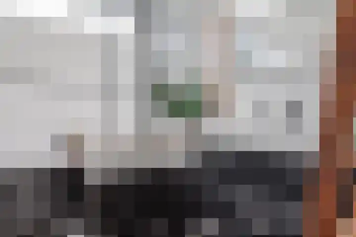 Druijfplaats 19 Abbekerk thumbnail 23