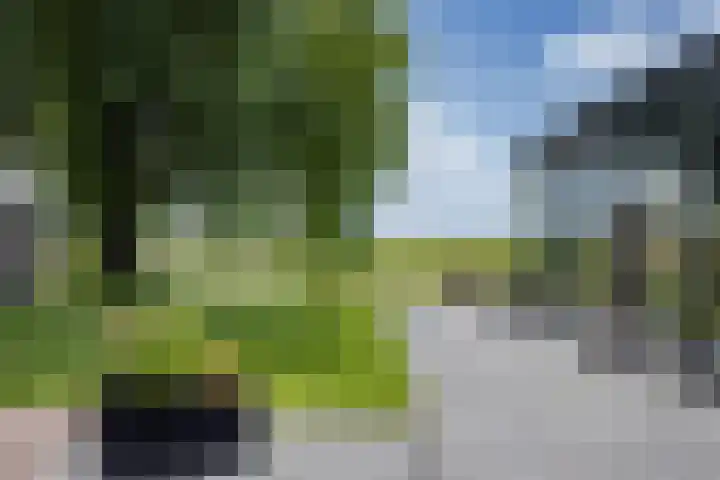 Druijfplaats 19 Abbekerk thumbnail 28