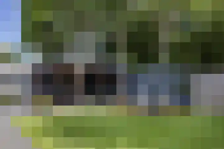 Druijfplaats 19 Abbekerk thumbnail 29