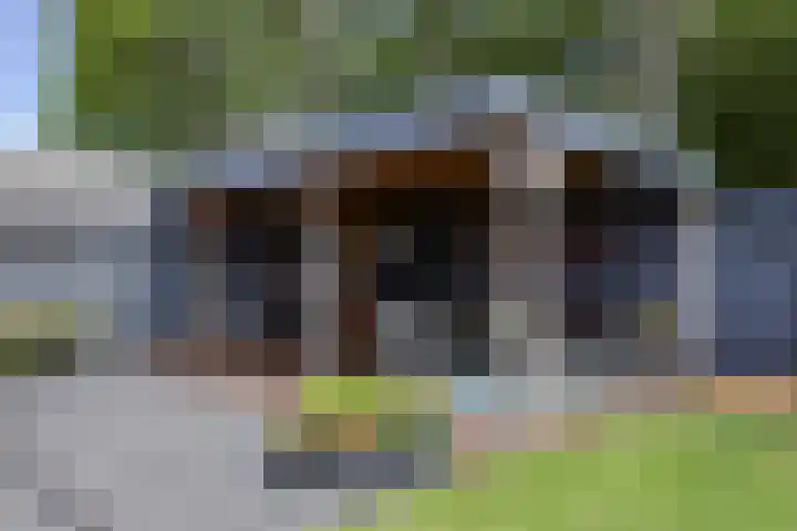 Druijfplaats 19 Abbekerk thumbnail 30