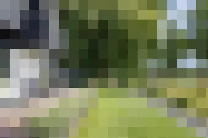 Druijfplaats 19 Abbekerk thumbnail 32