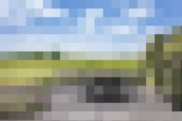 Druijfplaats 19 Abbekerk thumbnail 33