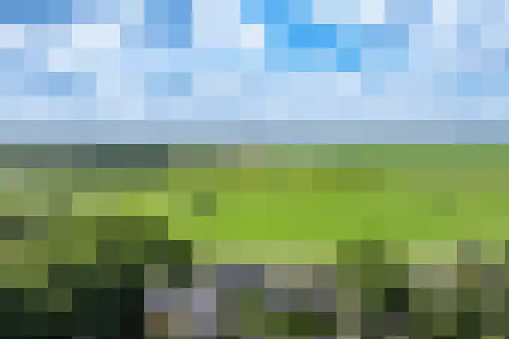 Druijfplaats 19 Abbekerk thumbnail 34
