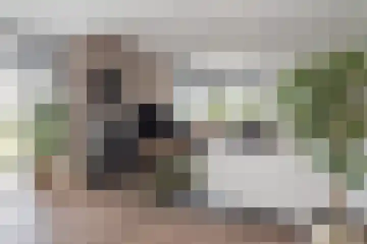 Druijfplaats 19 Abbekerk thumbnail 5