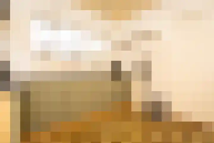 Druijfplaats 64 Abbekerk thumbnail 13