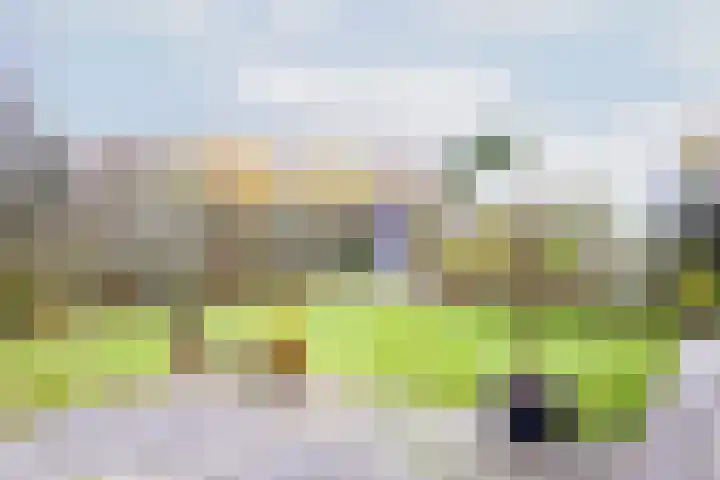 Druijfplaats 64 Abbekerk thumbnail 29