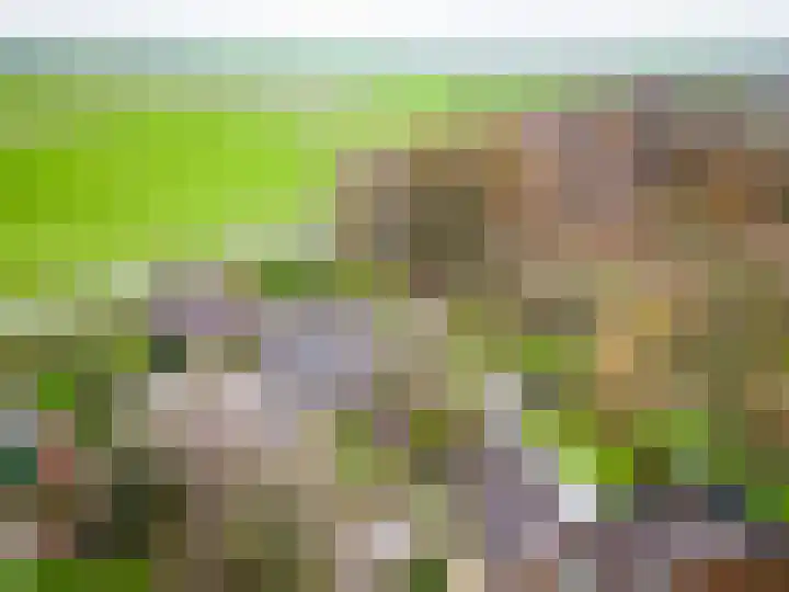 Druijfplaats 64 Abbekerk thumbnail 34
