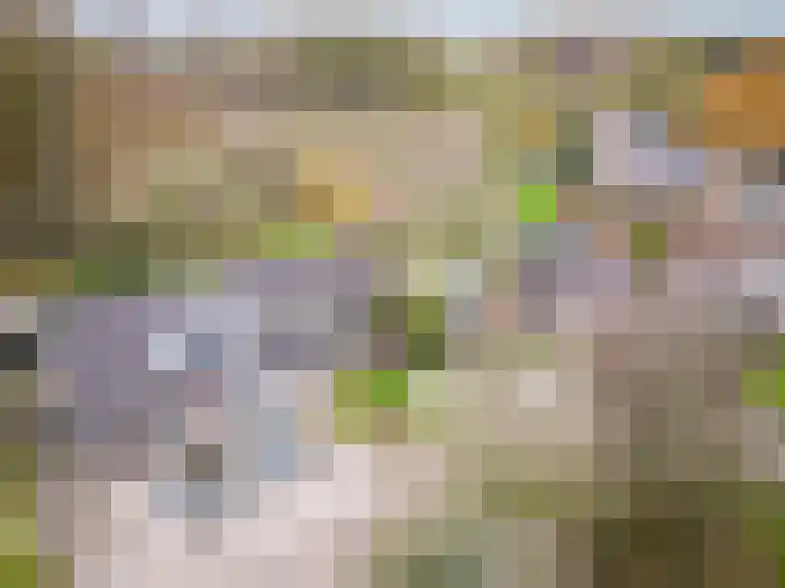 Druijfplaats 64 Abbekerk thumbnail 35
