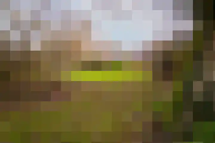 Druijfplaats 64 Abbekerk thumbnail 37