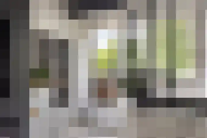 Druivegaarde 15 Nieuwegein thumbnail 10