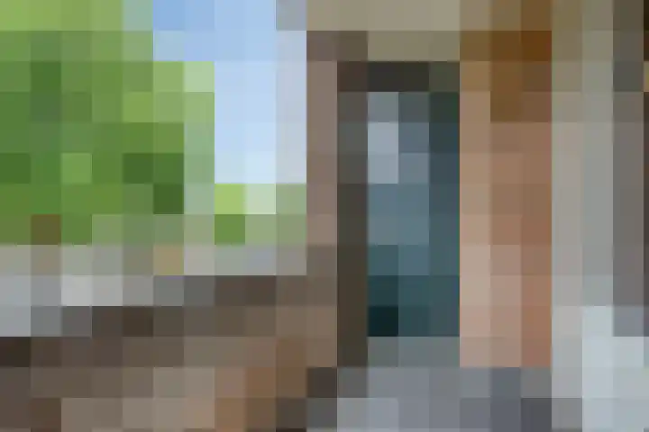 Druivegaarde 15 Nieuwegein thumbnail 11