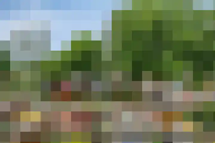 Druivegaarde 15 Nieuwegein thumbnail 12