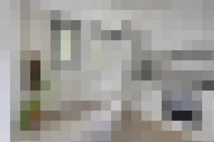 Druivegaarde 15 Nieuwegein thumbnail 13