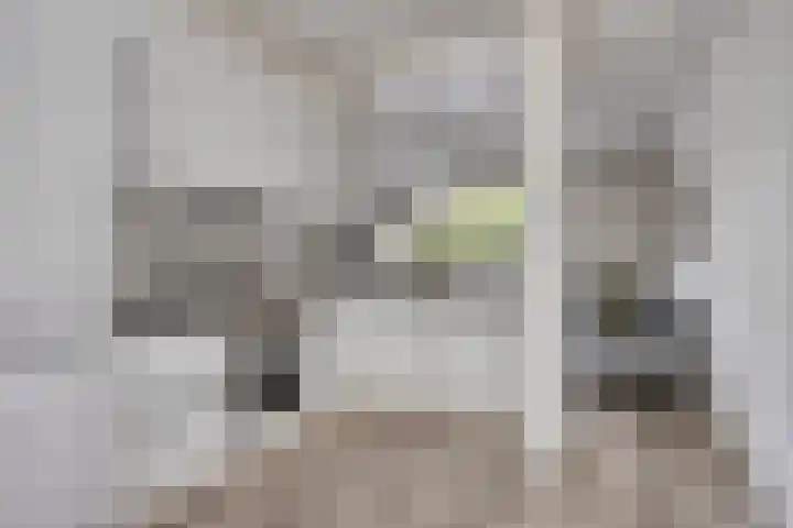 Druivegaarde 15 Nieuwegein thumbnail 14