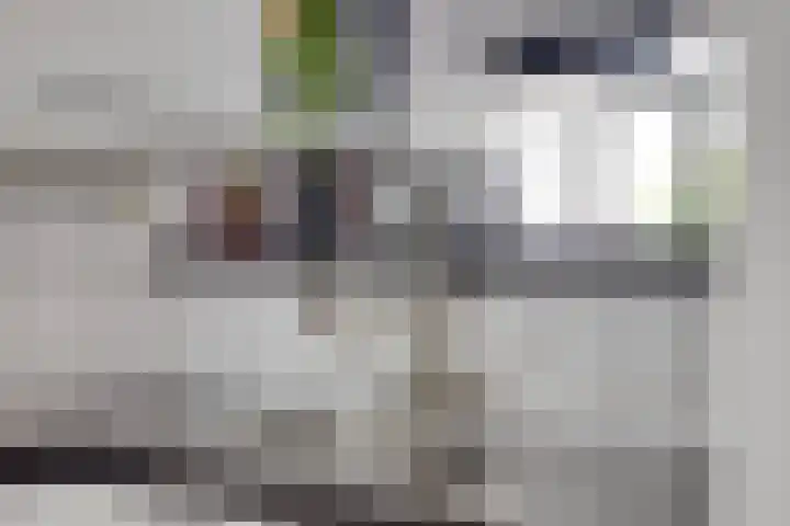 Druivegaarde 15 Nieuwegein thumbnail 15