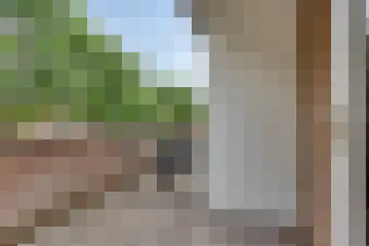 Druivegaarde 15 Nieuwegein thumbnail 16