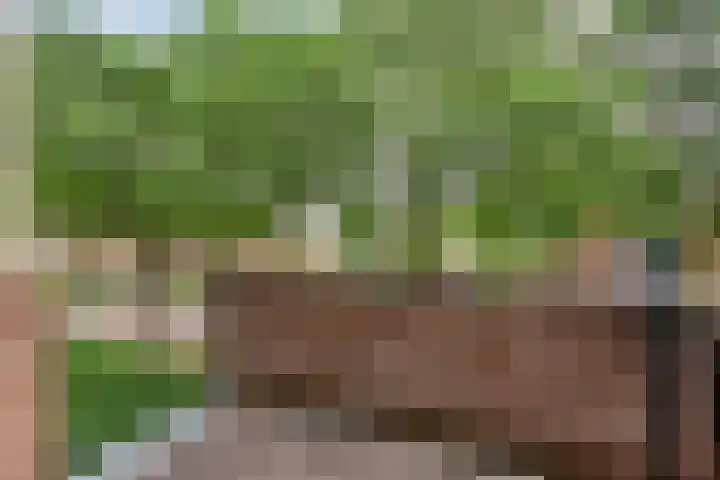 Druivegaarde 15 Nieuwegein thumbnail 17
