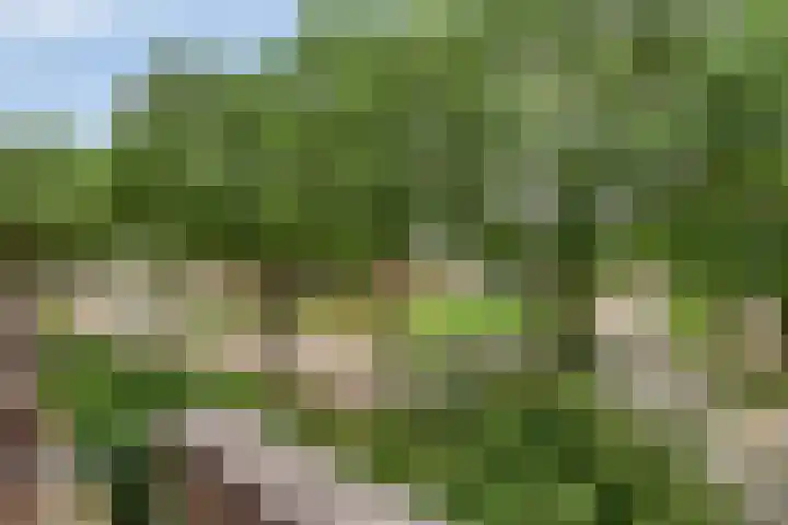 Druivegaarde 15 Nieuwegein thumbnail 18