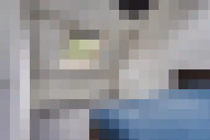 Druivegaarde 15 Nieuwegein thumbnail 26