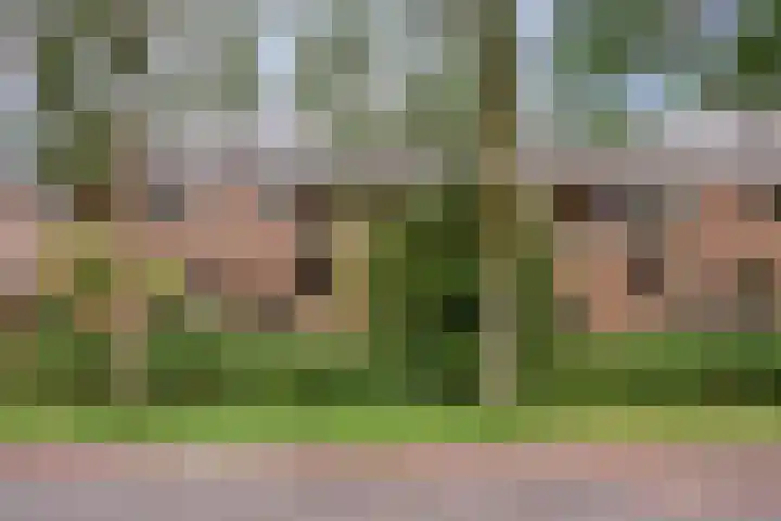 Druivegaarde 15 Nieuwegein thumbnail 27