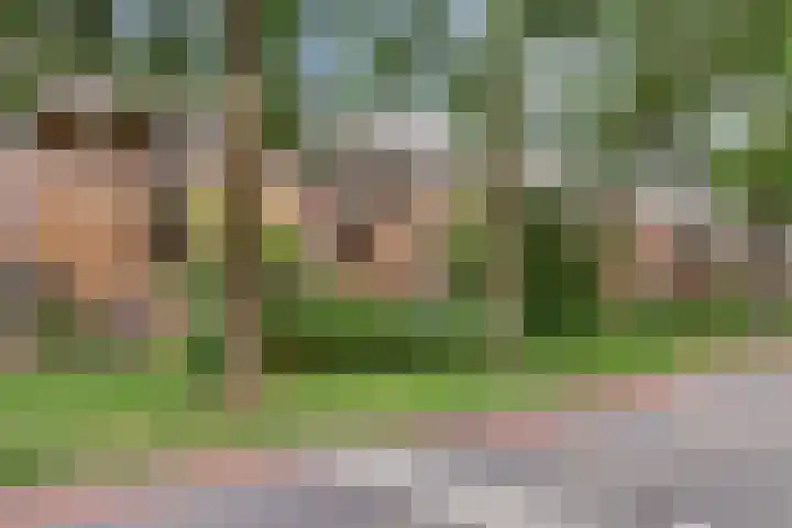 Druivegaarde 15 Nieuwegein thumbnail 28