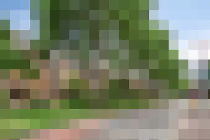 Druivegaarde 15 Nieuwegein thumbnail 29