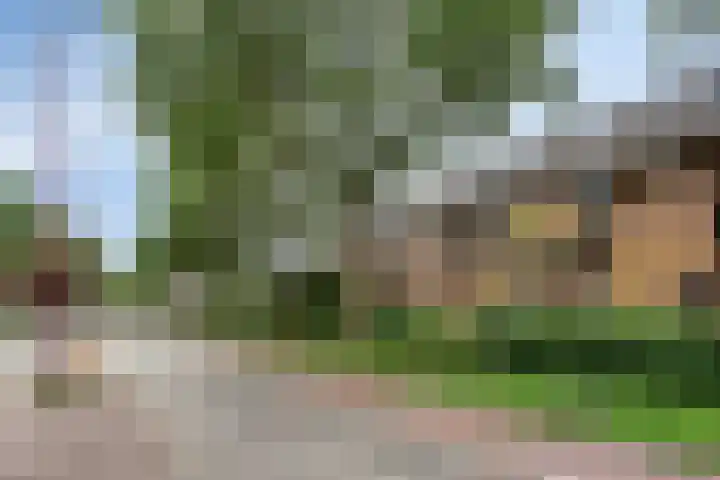 Druivegaarde 15 Nieuwegein thumbnail 30