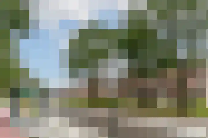 Druivegaarde 15 Nieuwegein thumbnail 32