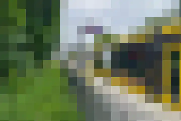 Druivegaarde 15 Nieuwegein thumbnail 33