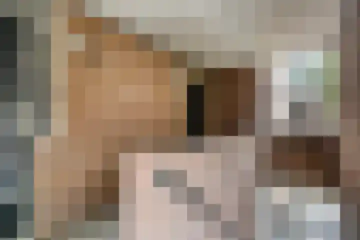 Druivegaarde 15 Nieuwegein thumbnail 4