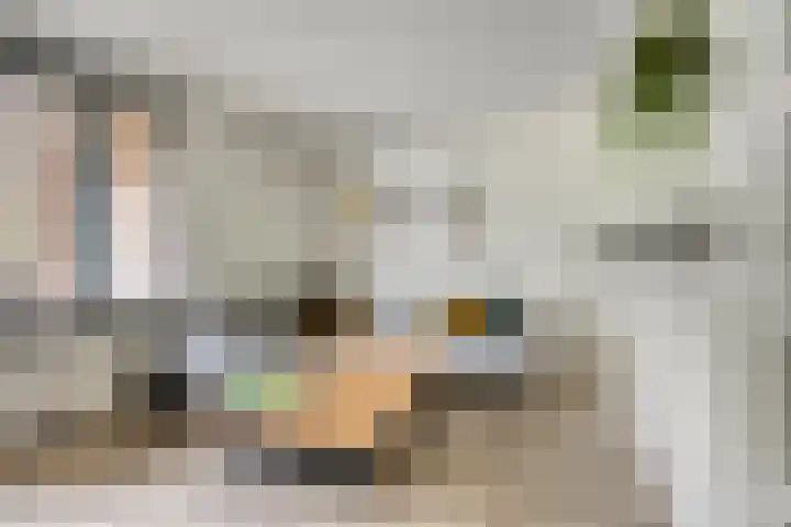 Druivegaarde 15 Nieuwegein thumbnail 7