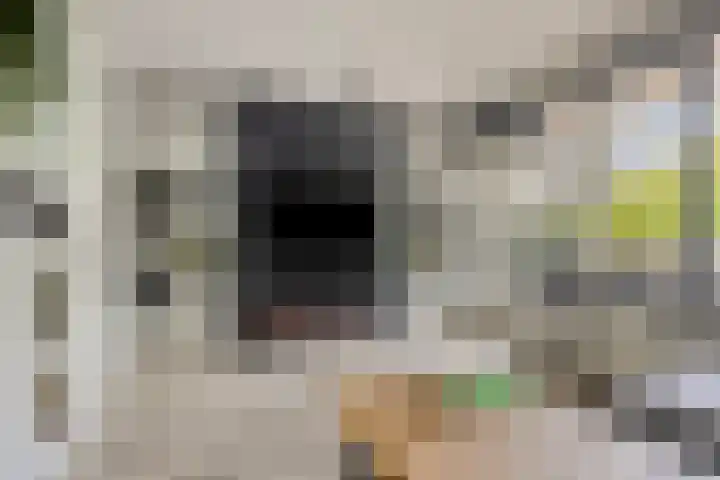 Druivegaarde 15 Nieuwegein thumbnail 8