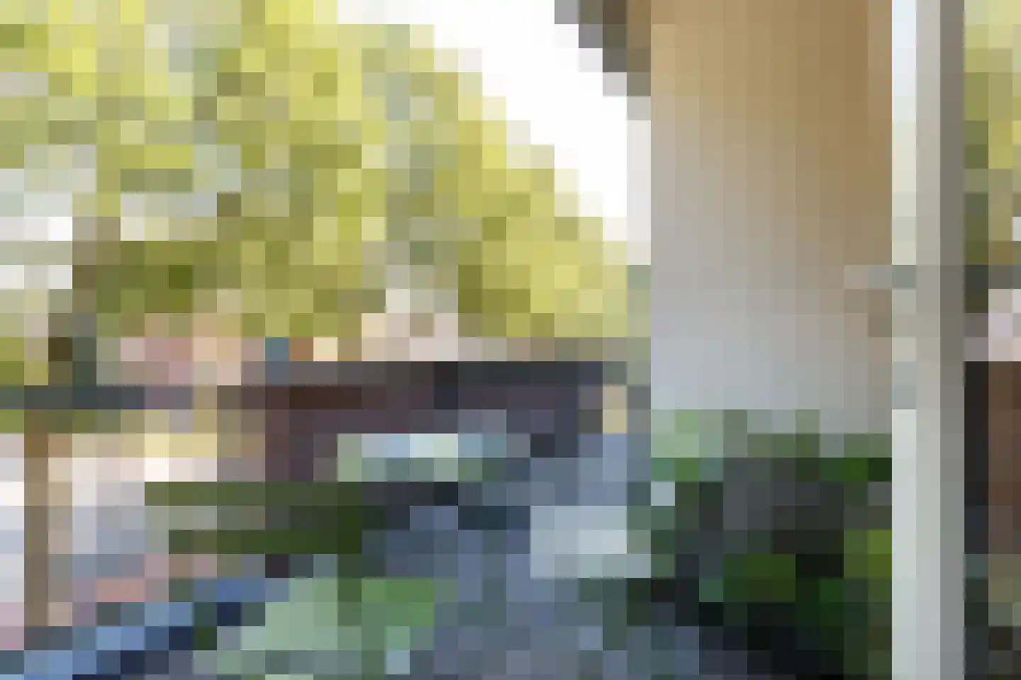Druivegaarde 19 Nieuwegein thumbnail 14