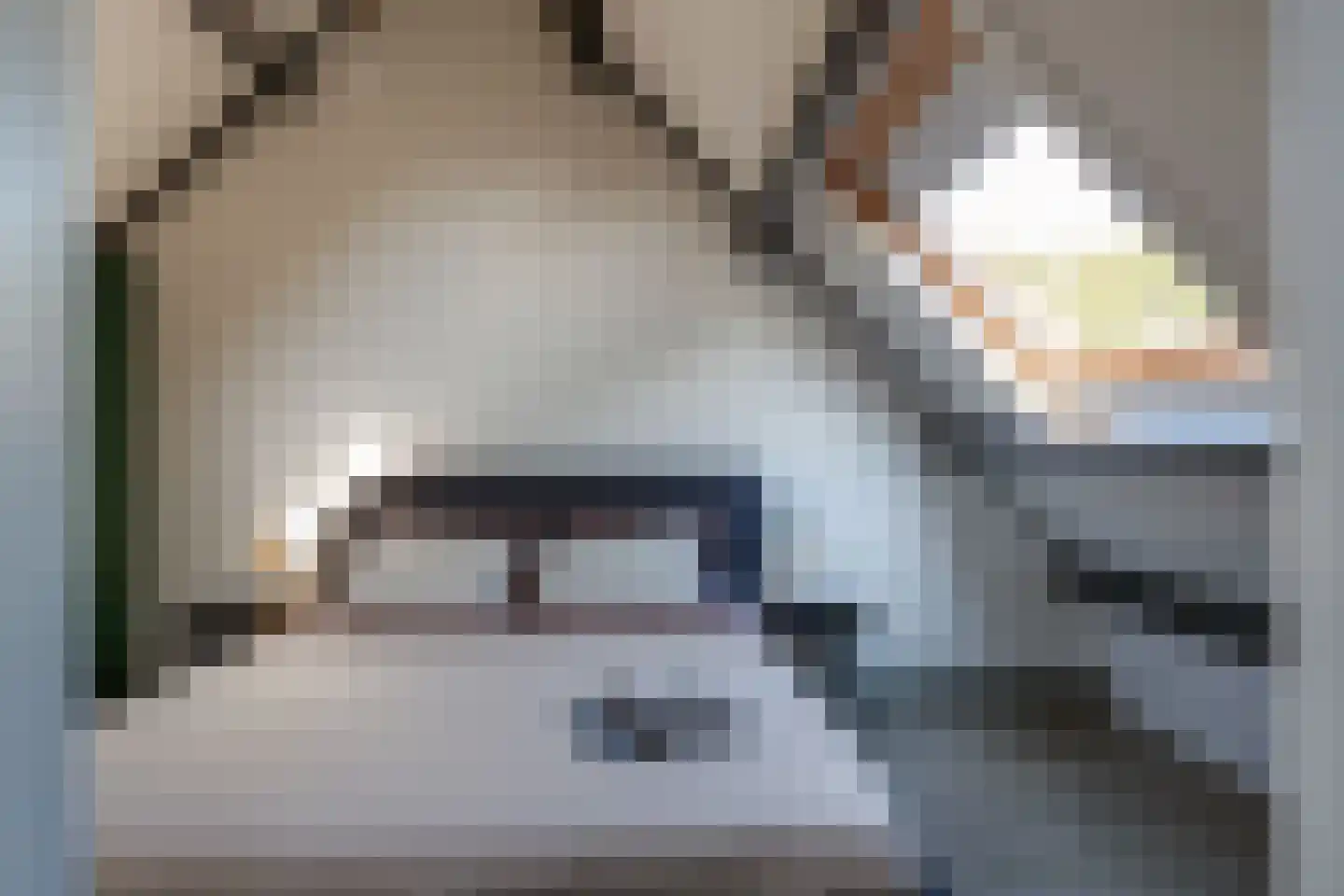 Druivegaarde 19 Nieuwegein thumbnail 17