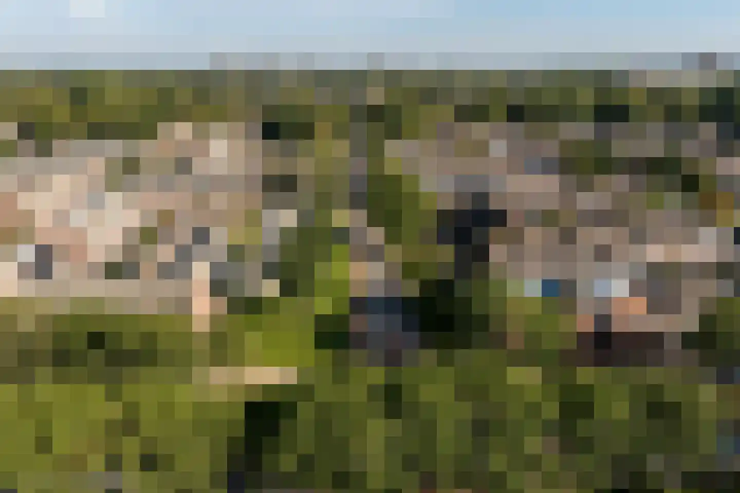 Druivegaarde 19 Nieuwegein thumbnail 23
