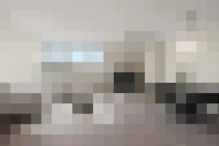 Druivegaarde 33 Nieuwegein thumbnail 11