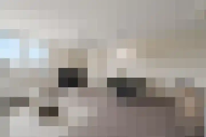 Druivegaarde 33 Nieuwegein thumbnail 12