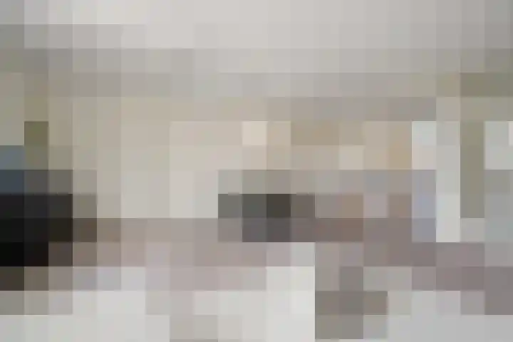 Druivegaarde 33 Nieuwegein thumbnail 17