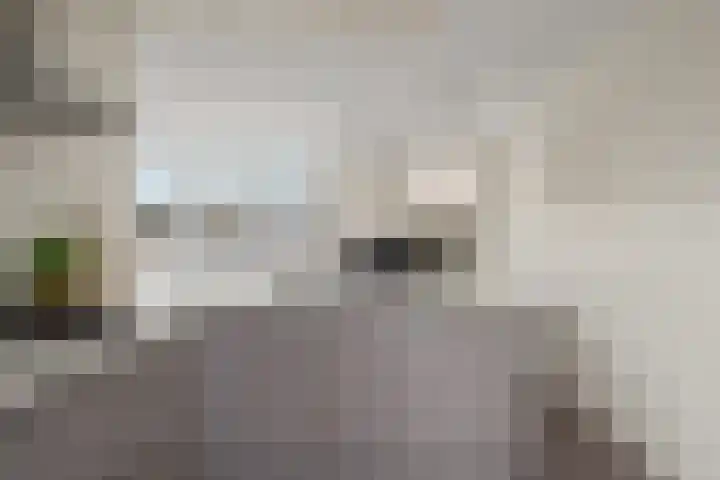 Druivegaarde 33 Nieuwegein thumbnail 30
