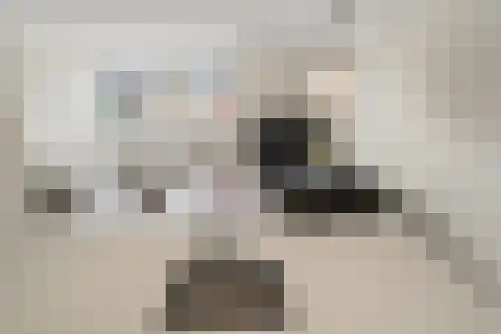 Druivegaarde 33 Nieuwegein thumbnail 32