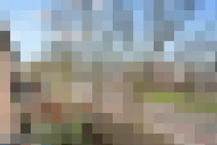 Druivegaarde 33 Nieuwegein thumbnail 35