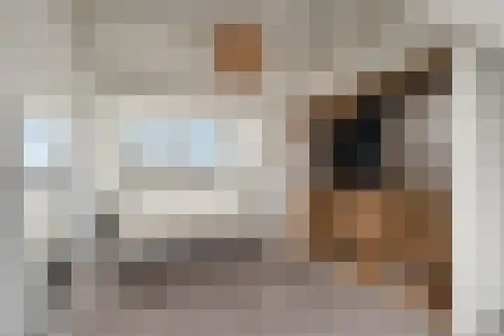Druivegaarde 33 Nieuwegein thumbnail 37