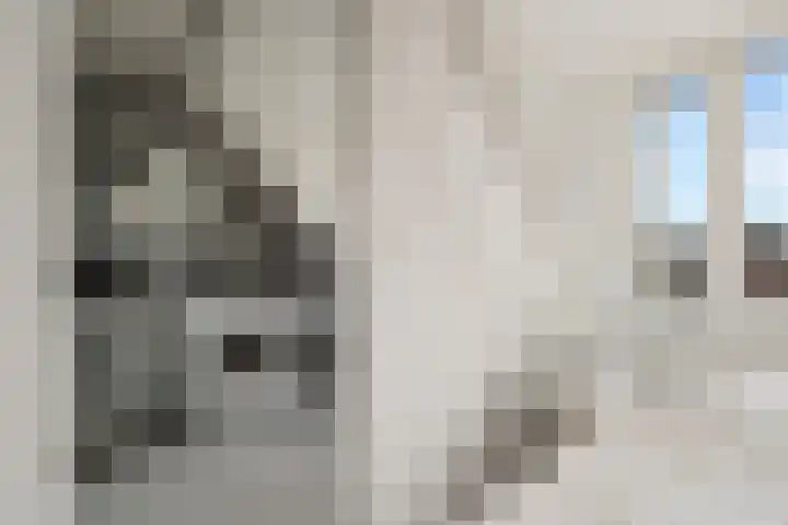 Druivegaarde 33 Nieuwegein thumbnail 43