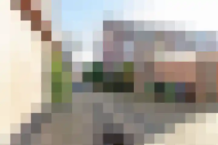 Druivegaarde 41 Nieuwegein thumbnail 24