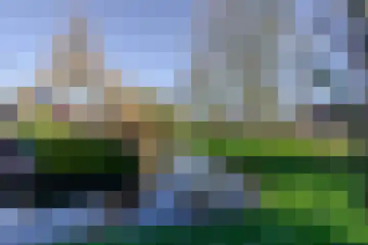 Druivegaarde 41 Nieuwegein thumbnail 27