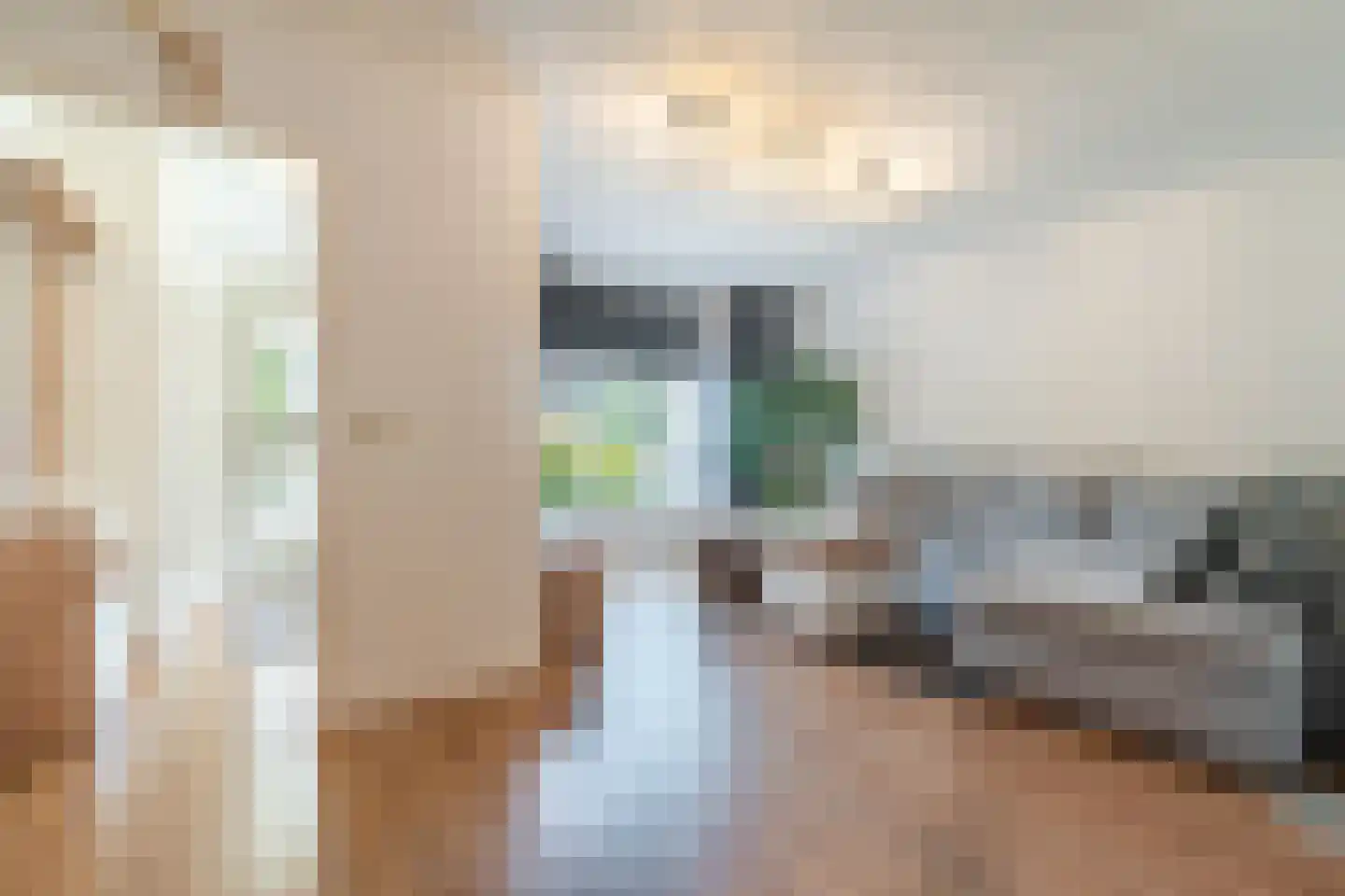 Druivelaar 2 Veghel thumbnail 12