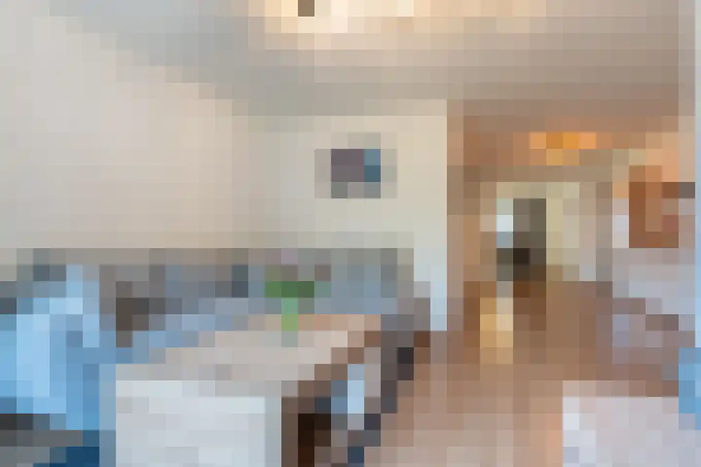Druivelaar 2 Veghel thumbnail 13