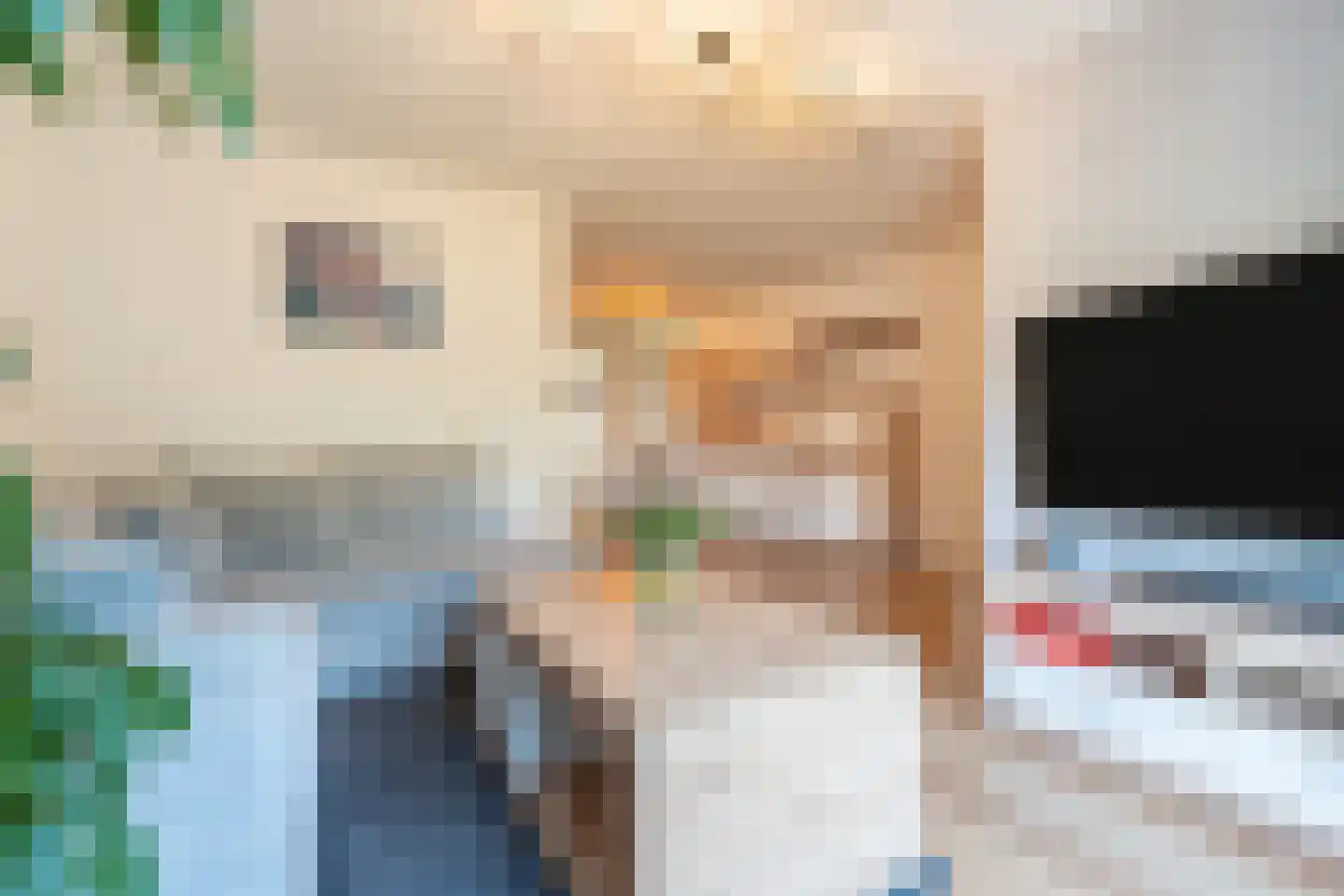 Druivelaar 2 Veghel thumbnail 14